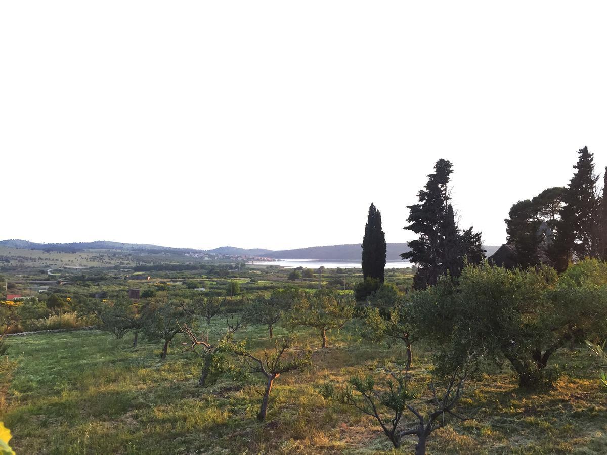 Holiday Home Olive Sibenik Bagian luar foto