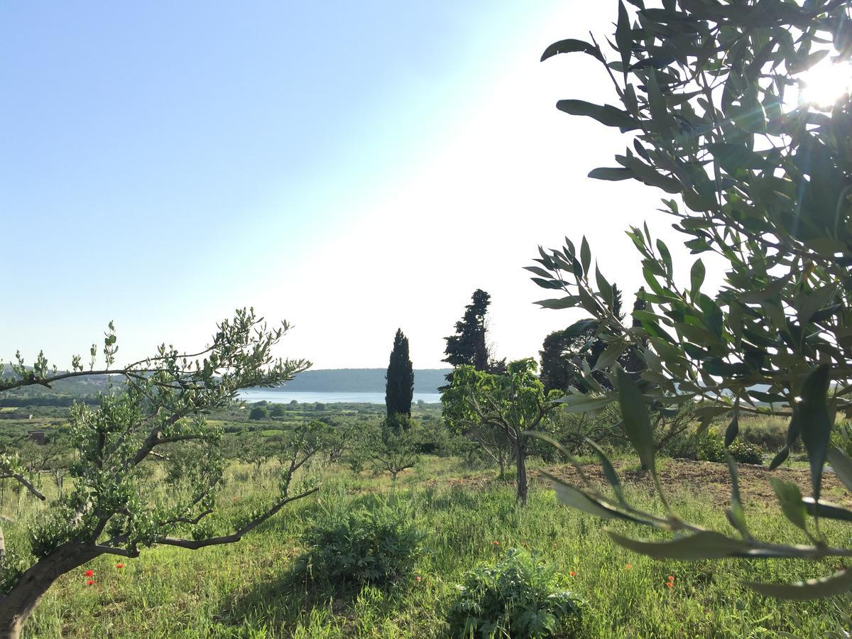 Holiday Home Olive Sibenik Bagian luar foto